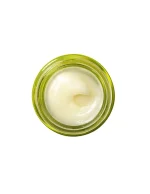 ORIGINS DRINK UP™ BAUME A LEVRES NOURISSANT A L'AVOCAT 15G – Image 2